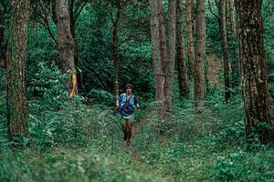 BIB: 
                            <button type="button" onclick="openModal(25236910)" class="btn btn-primary btn-sm float-right btn-popup" data-toggle="modal" data-target=".modal-high-quality">
                        <i class="fas fa-shopping-cart"></i> Add to Cart
                    </button>
                                            <button type="button" onclick="isThisMe(25236910, true)" class="btn btn-success btn-sm float-right btn-popup btn-isme hidden" data-toggle="tooltip" data-placement="bottom" title="นี่คือรูปของคุณใช่ไหม คลิกที่นี่เพื่อเอาเข้าอัลบั้ม">
                        <i class="fas fa-plus"></i> Add to album
                    </button>
                    <button type="button" onclick="isThisMe(25236910, false)" class="btn btn-warning btn-sm float-right btn-popup btn-isnotme hidden">
                        <i class="fas fa-ban"></i> Remove from album
                    </button>